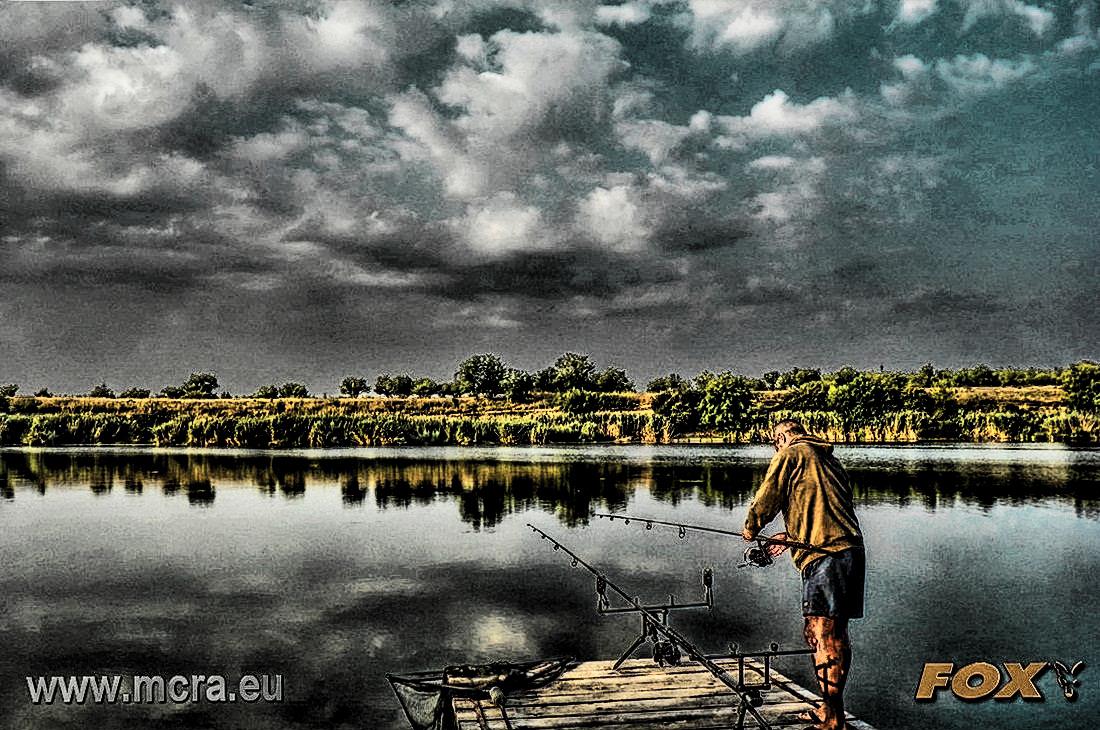 MeetCarp Romanian Awards 2013 - 1010052hdrmode2-2.jpg